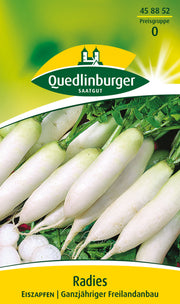 Radies Eiszapfen