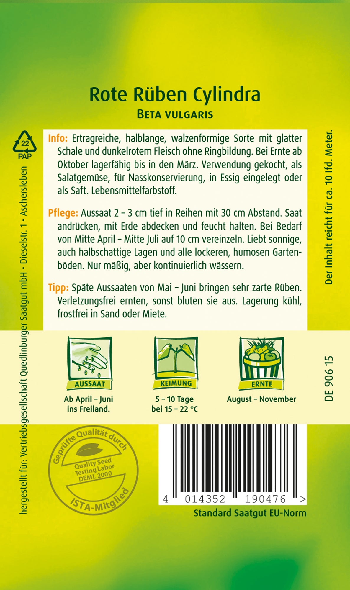 Rote Rübe Cylindra