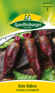Rote Rübe Cylindra