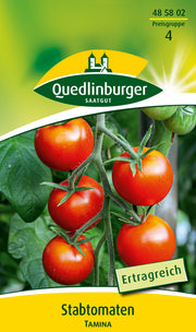 Stabtomaten Tamina
