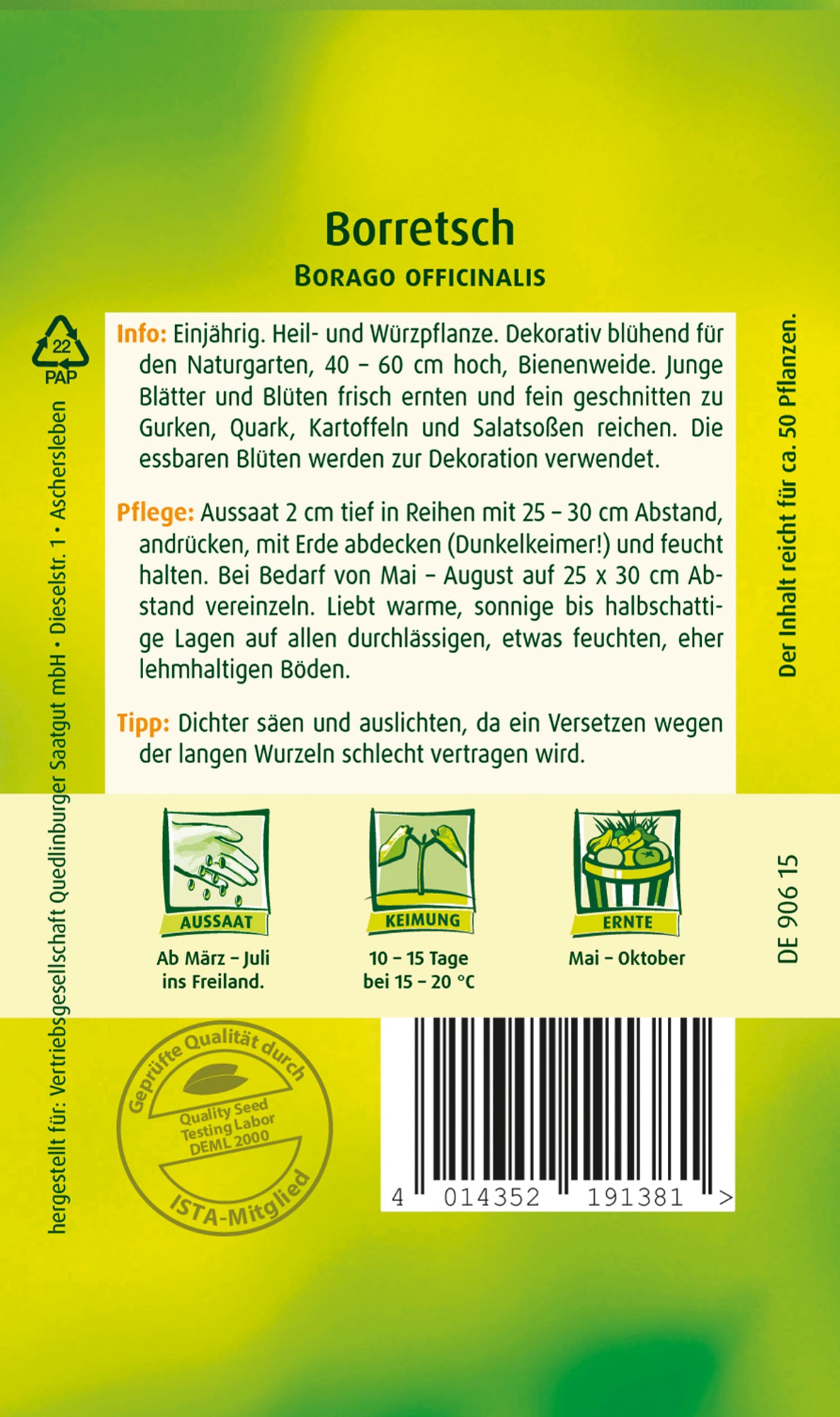 Borretsch