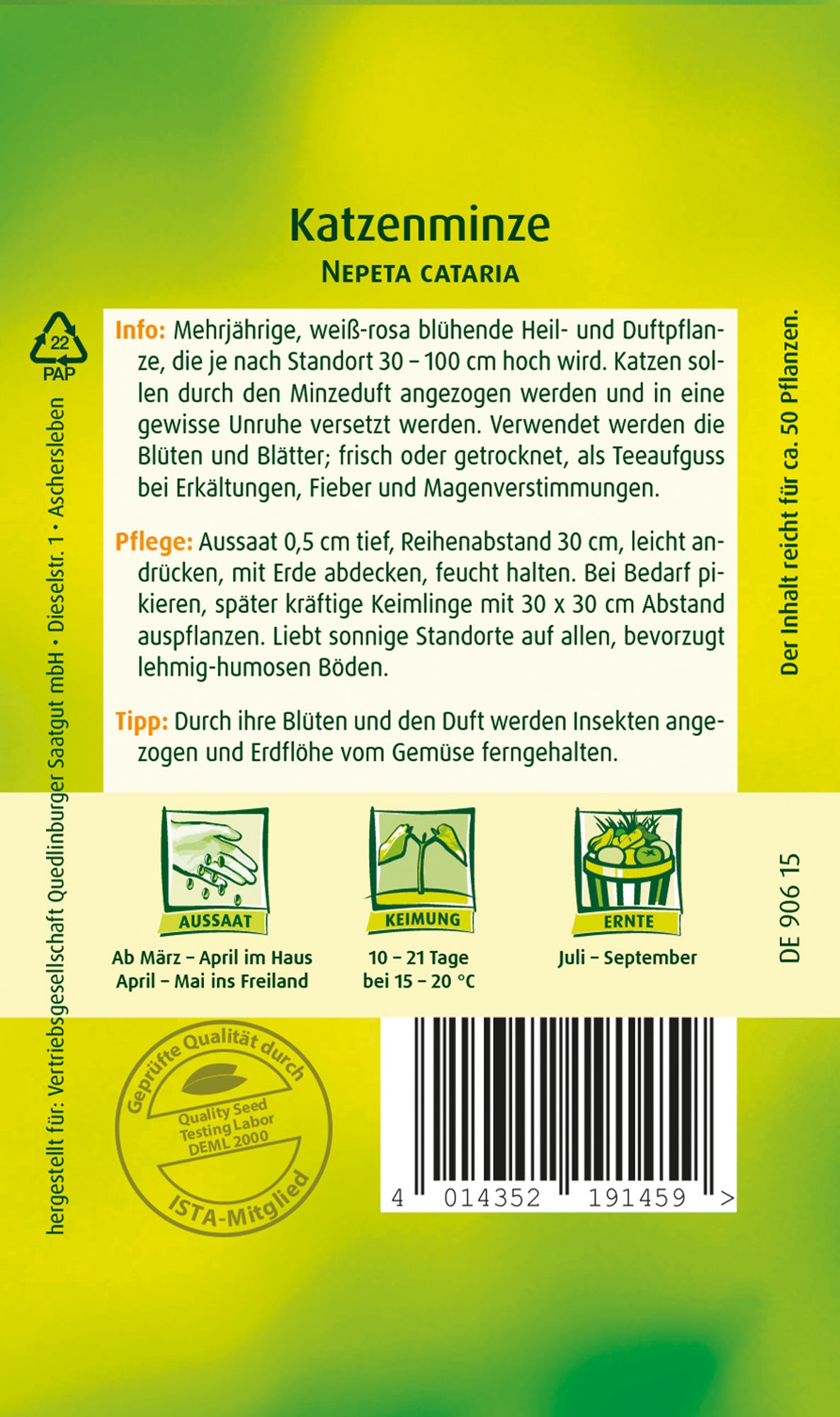 Katzenminze