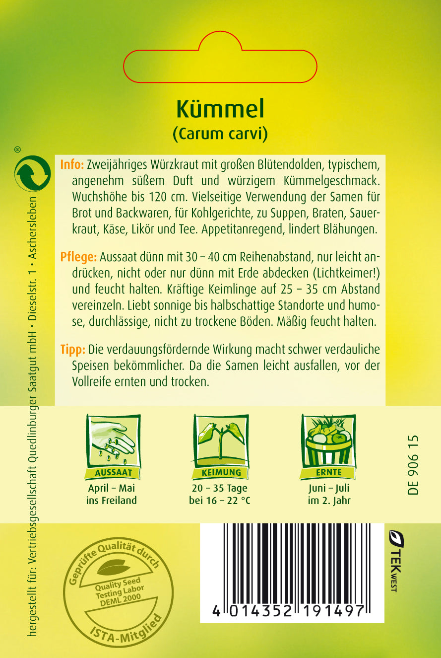 Kümmel