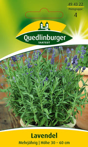 Lavendel
