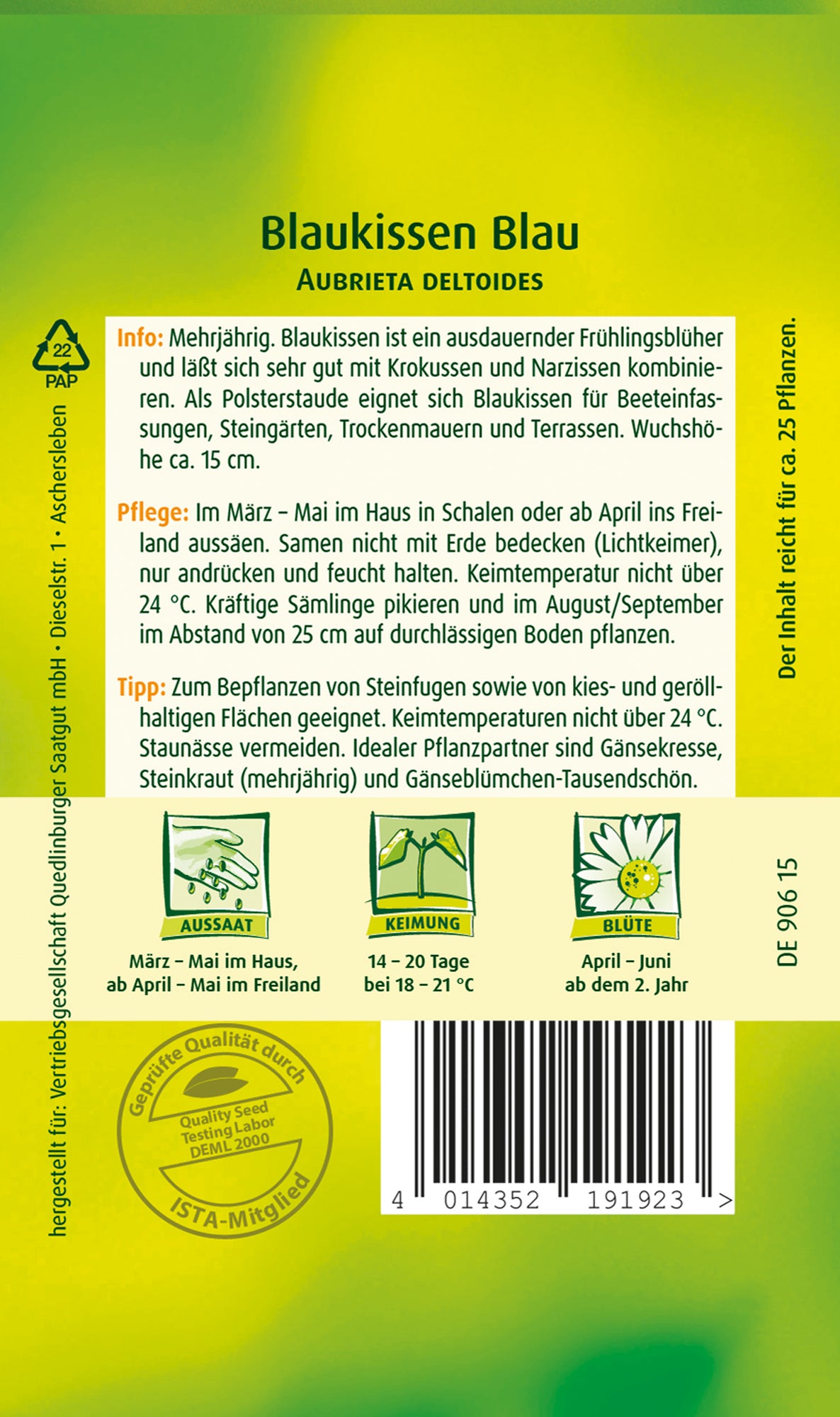 Blaukissen  Blau