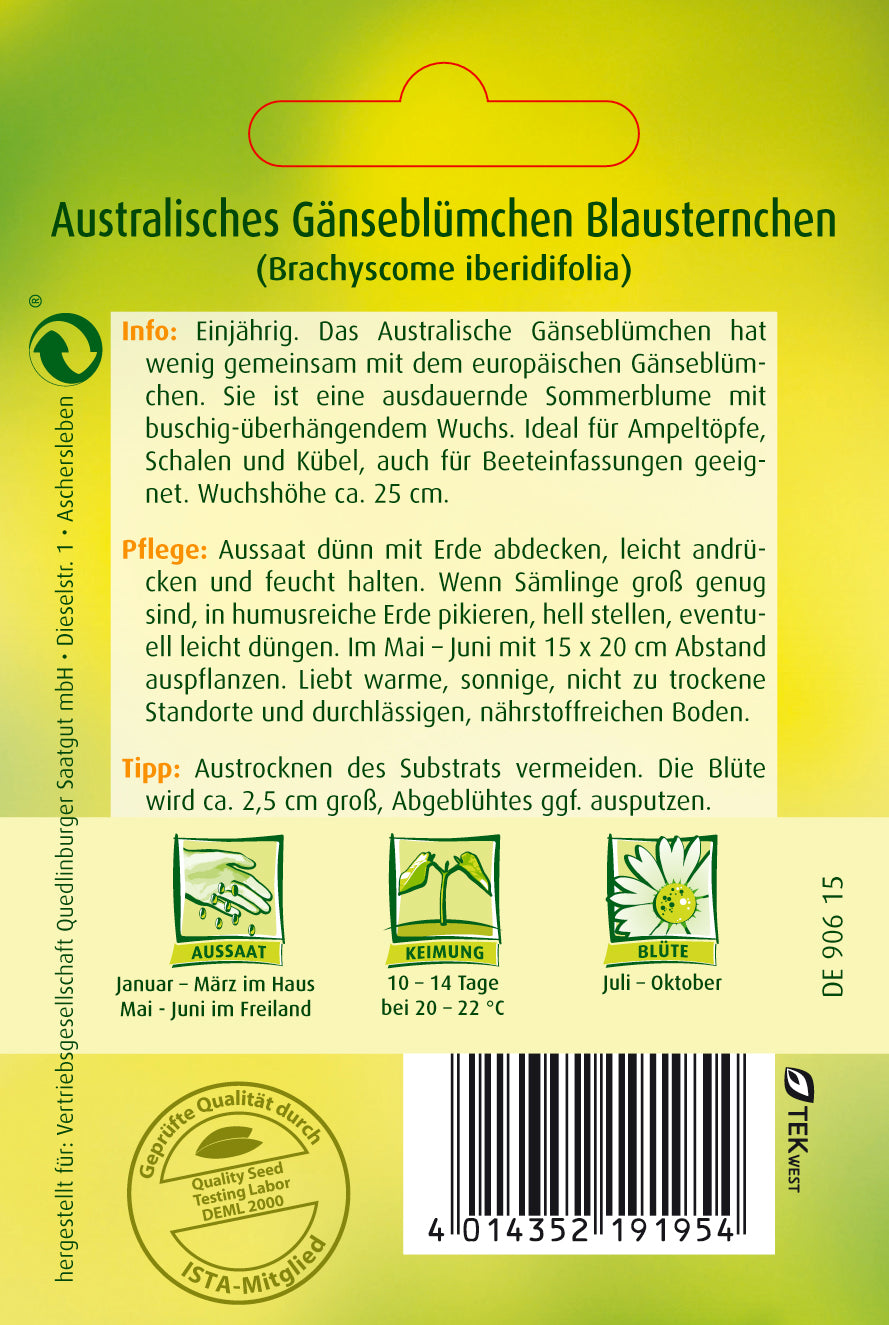 Australisches Gänseblümchen