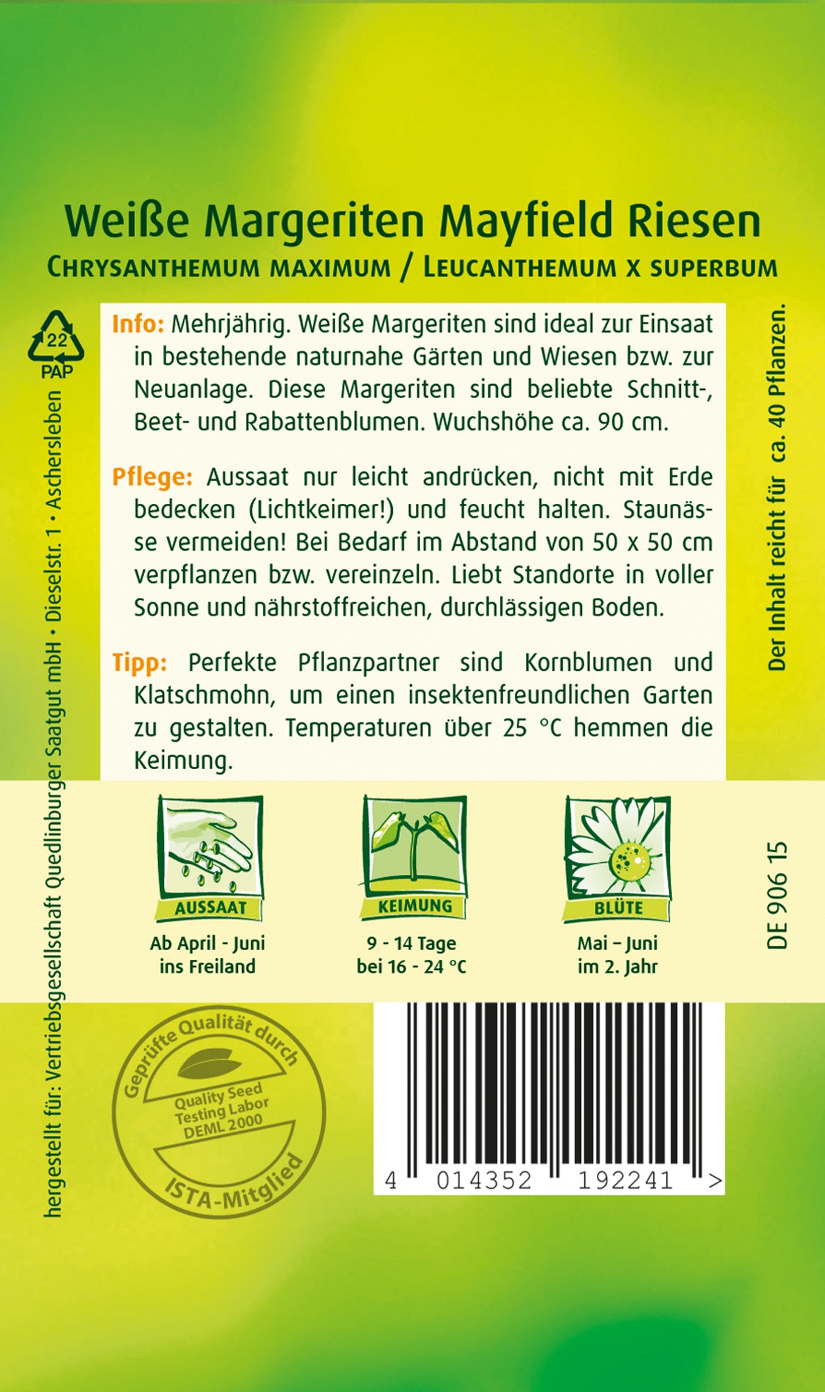 Margeriten Weiße Mayfield Riesen