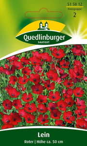 Lein Roter