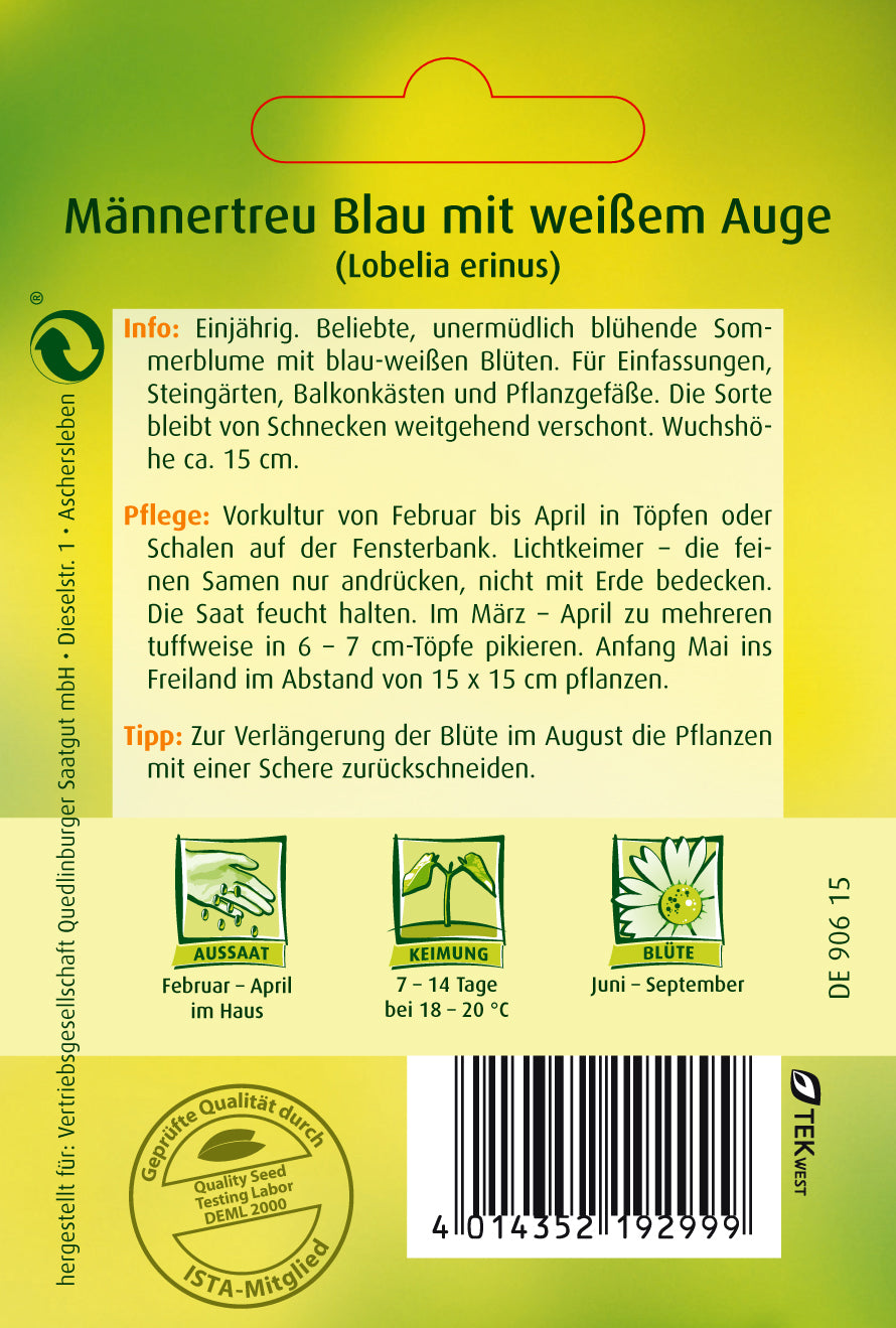 Männertreu Blau mit weißem Auge
