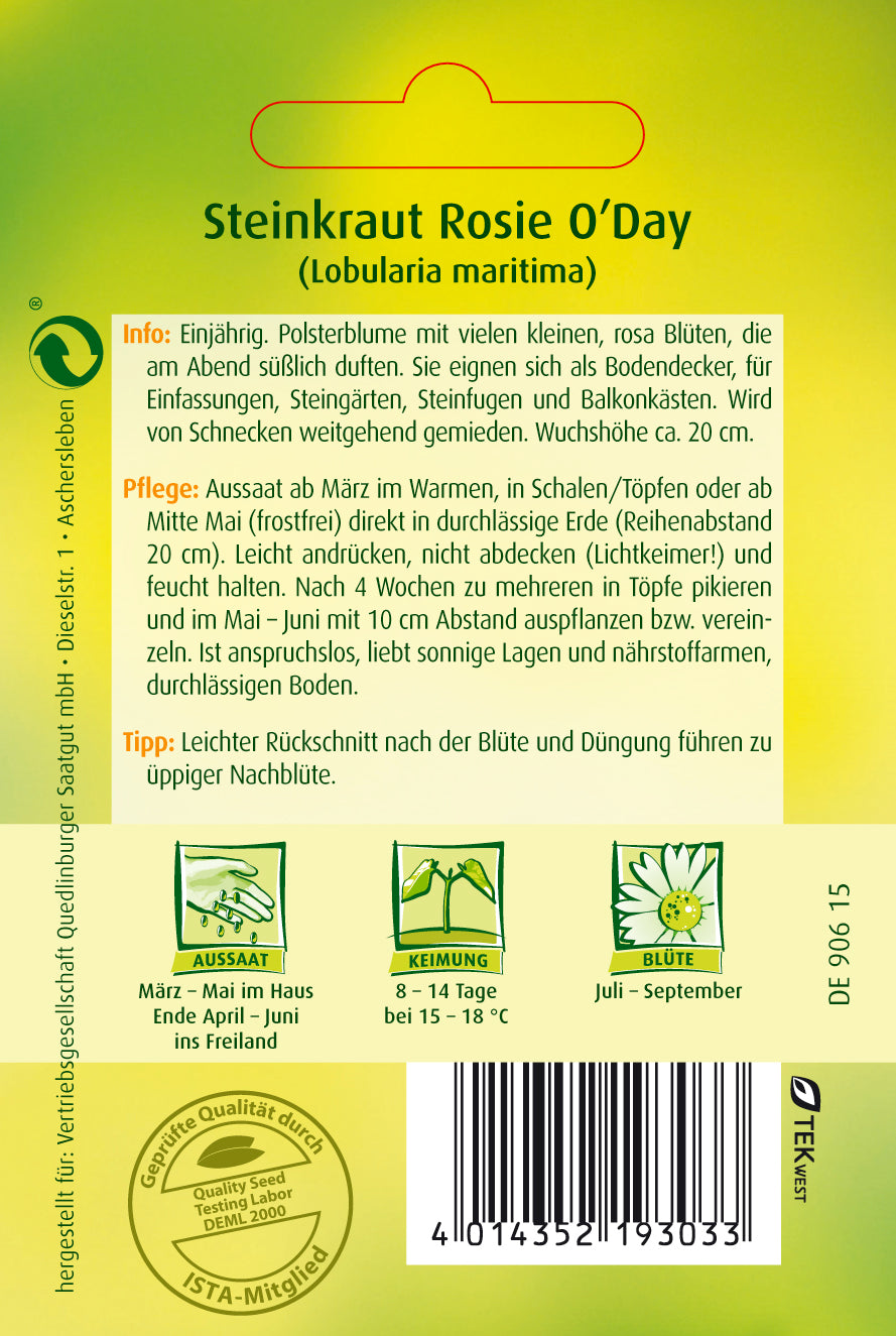 Steinkraut Rosie O'Day