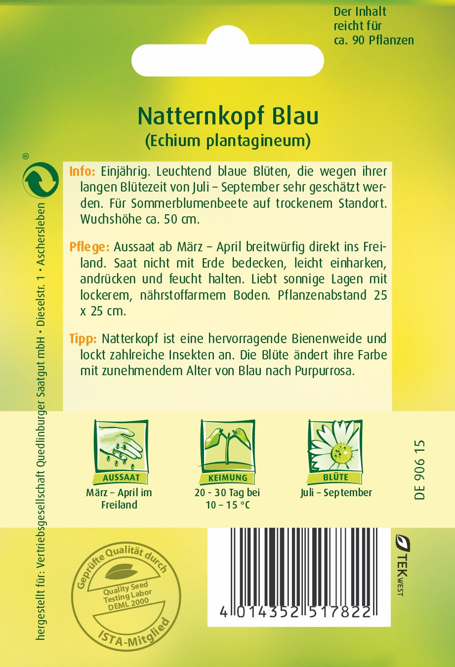 Natternkopf Blau
