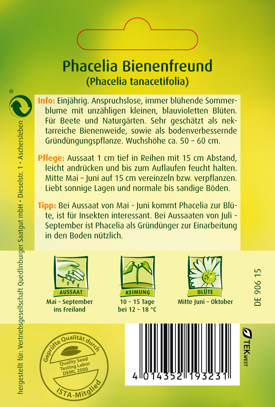 Phacelia Bienenfreund