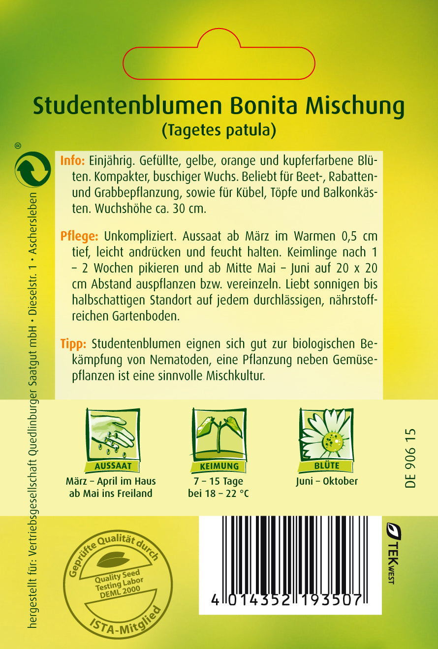 Studentenblumen Bonita