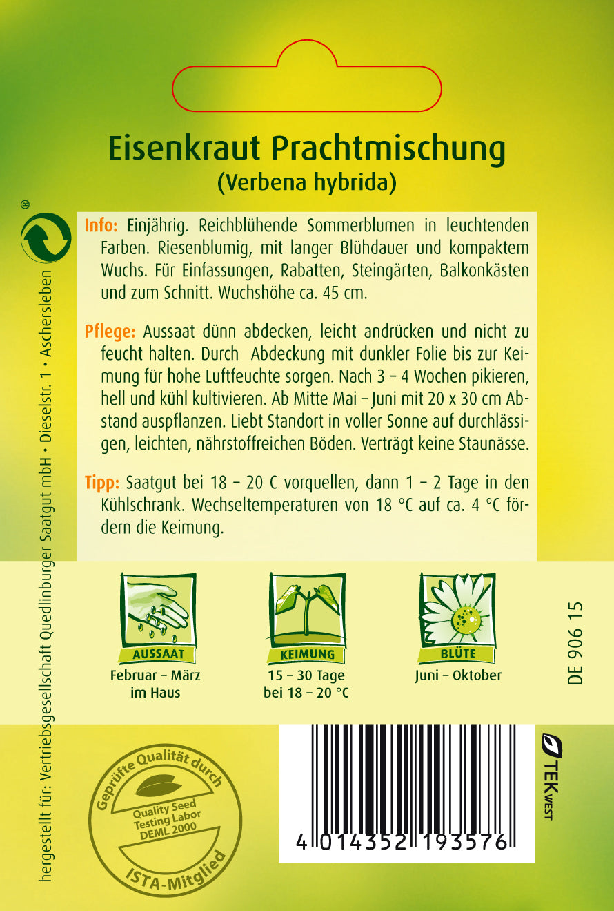 Eisenkraut