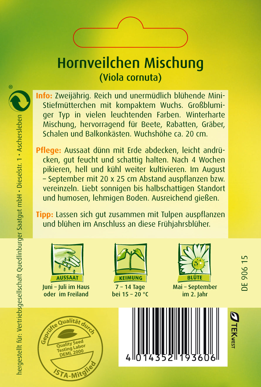 Hornveilchen