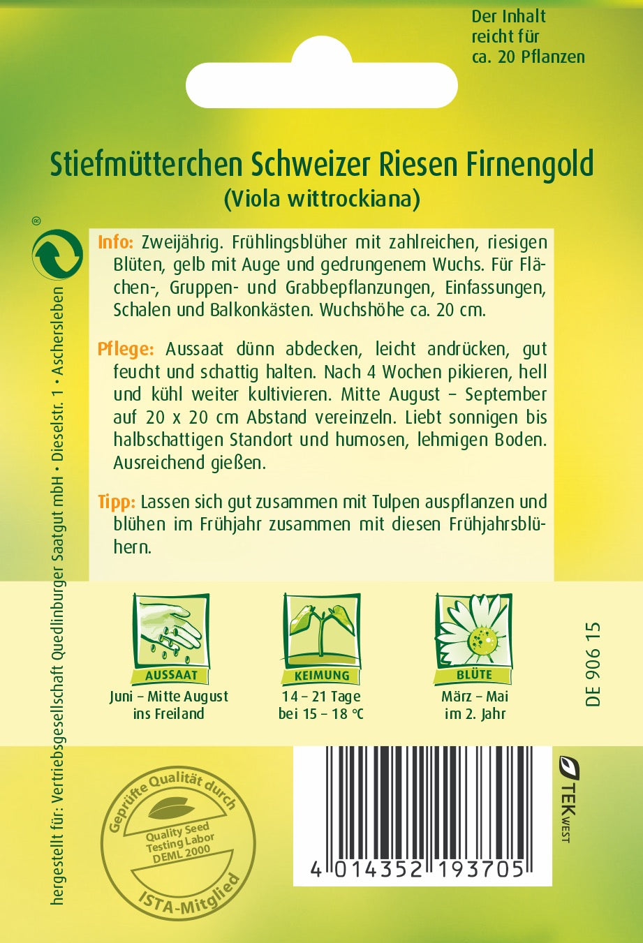 Stiefmütterchen Schweizer Riesen Firnengold