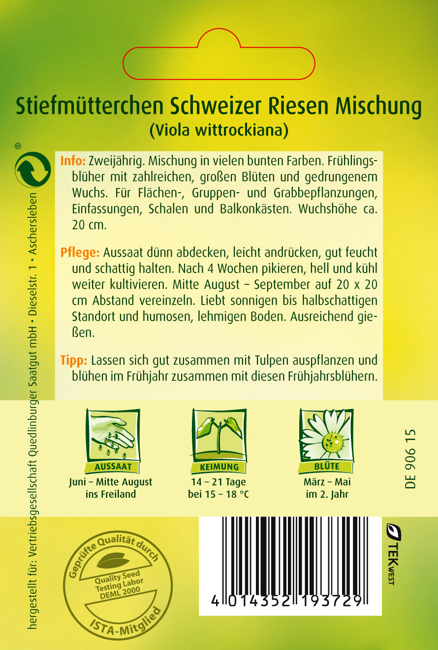 Stiefmütterchen Schweizer Riesen Mischung