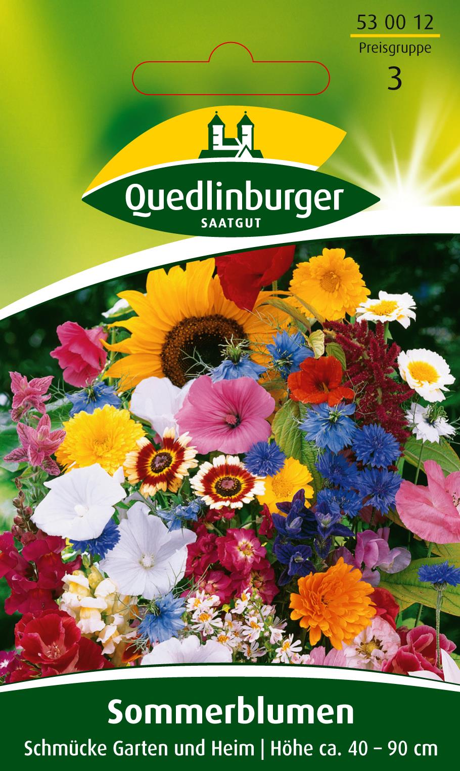 Sommerblumen Schmücke Garten und Heim