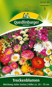 Trockenblumen Mischung