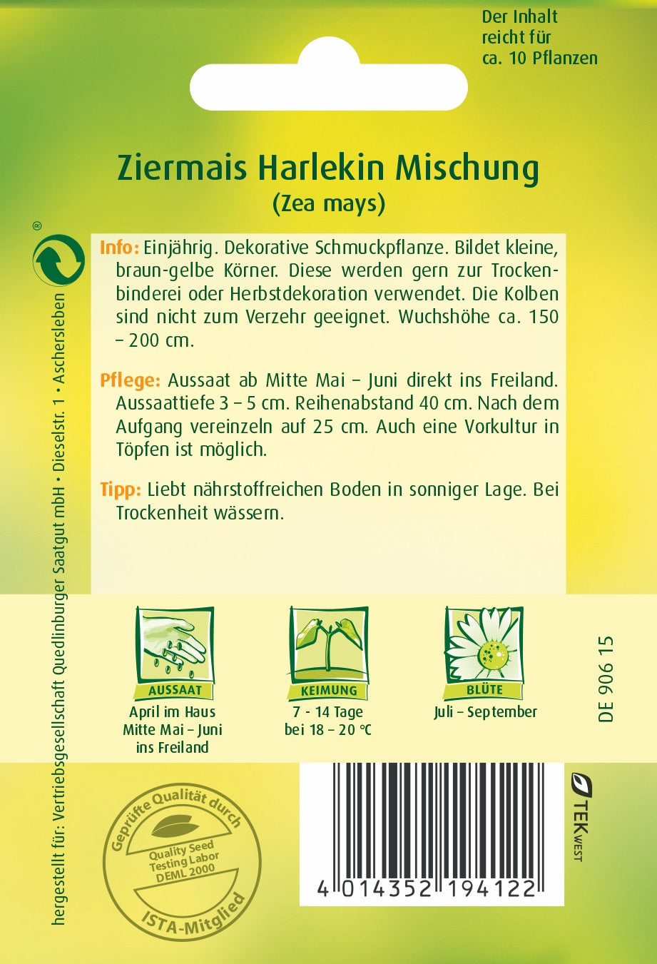 Zier-Mais Harlekin