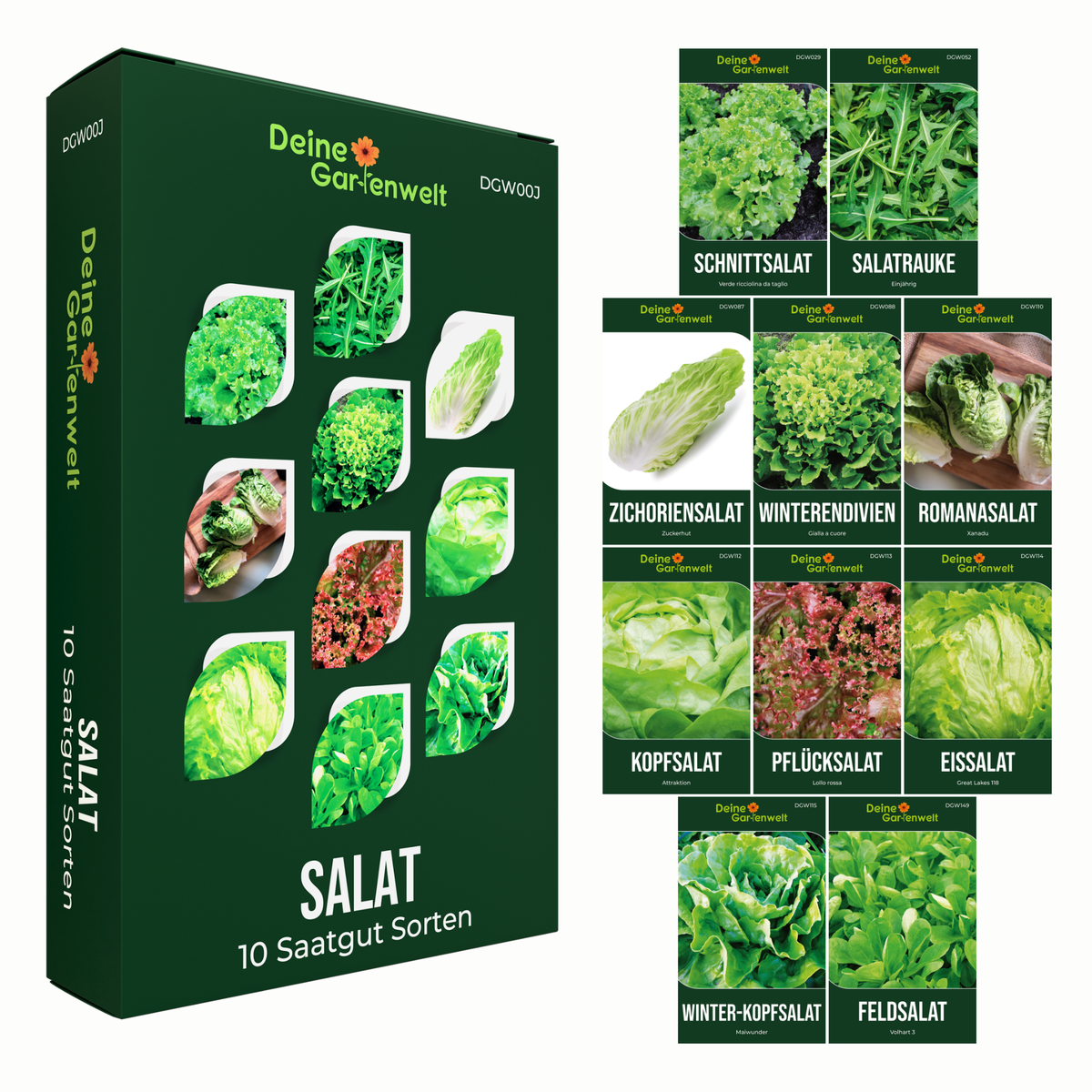 Salatsamen Set mit 10 Sorten