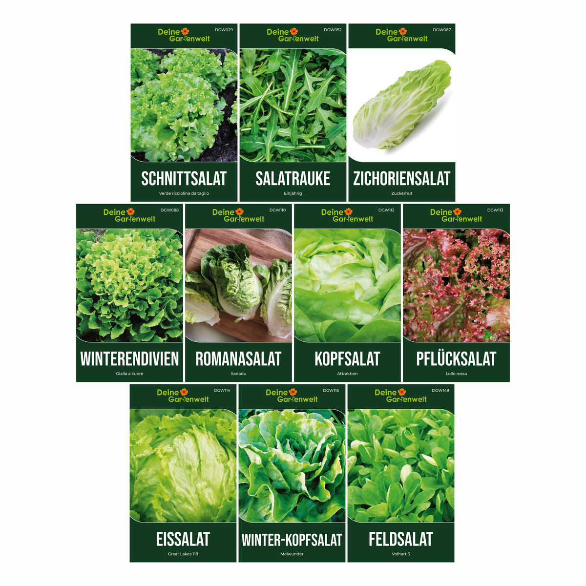 Salatsamen Set mit 10 Sorten