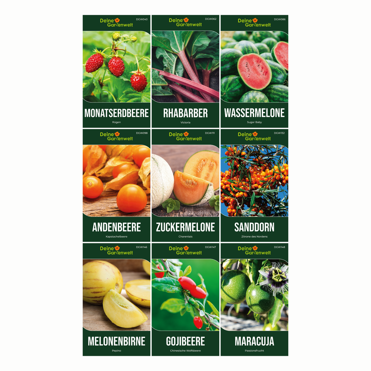 Obstsamen Set mit 9 Sorten