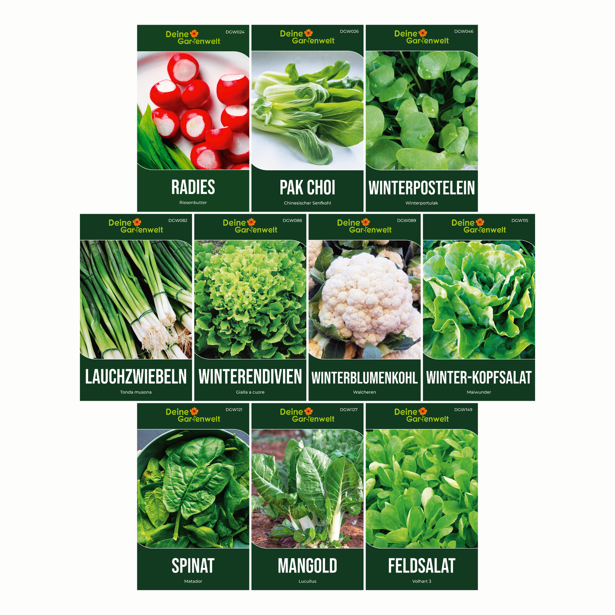 Wintergemüsesamen Set mit 10 Sorten