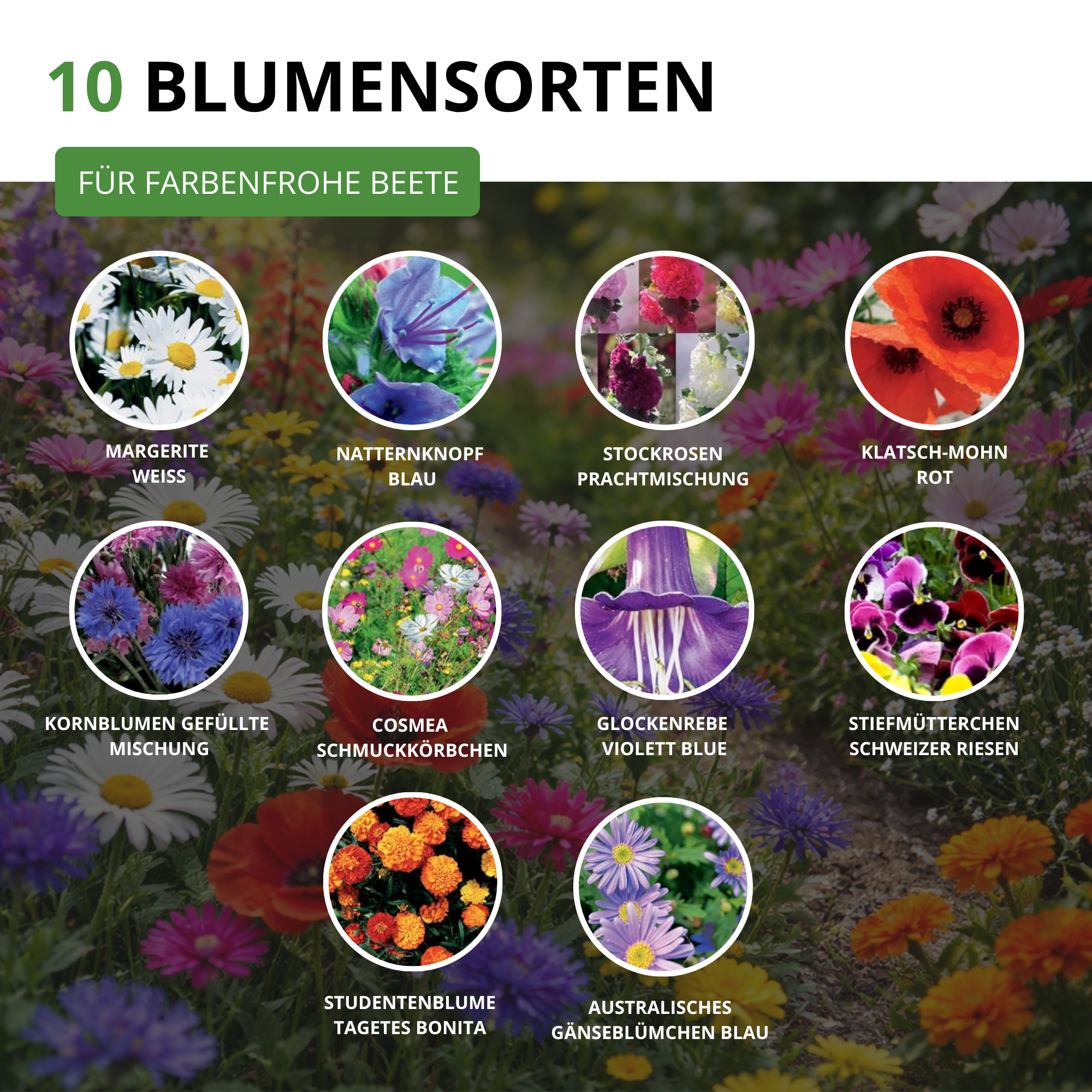 Blumensamen-Set mit 10 Sorten