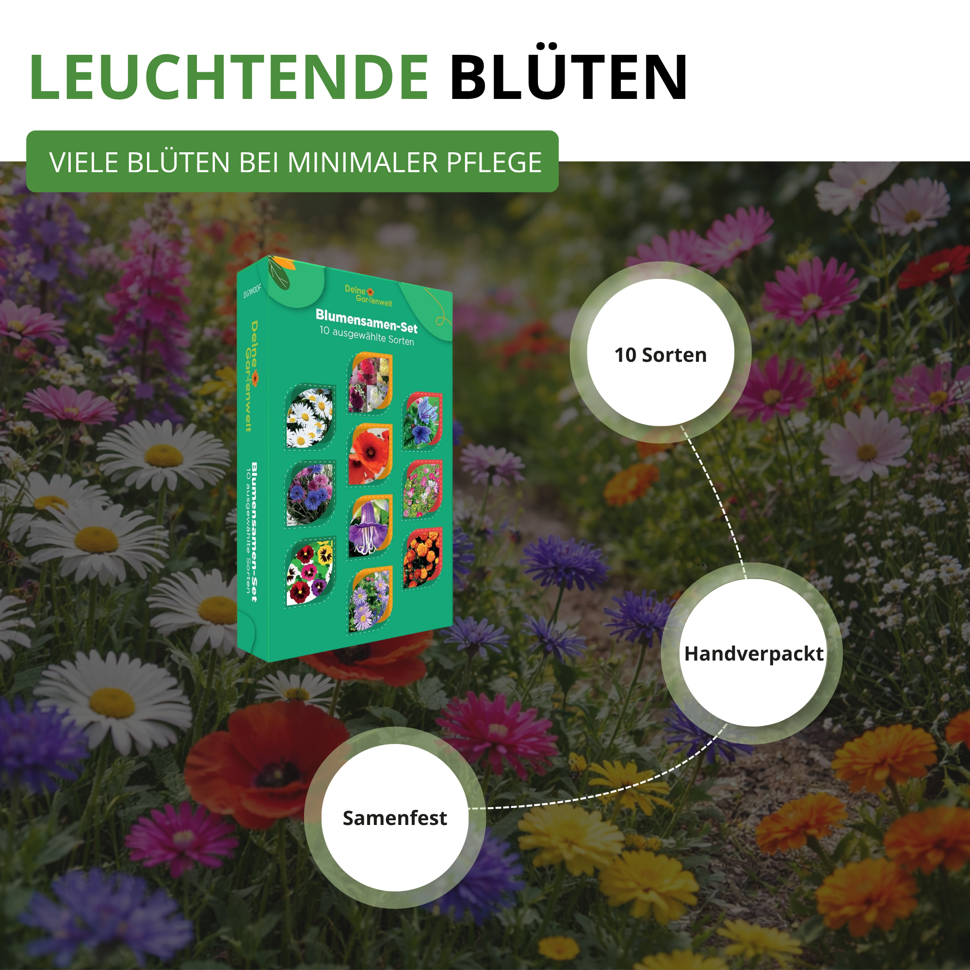 Blumensamen-Set mit 10 Sorten