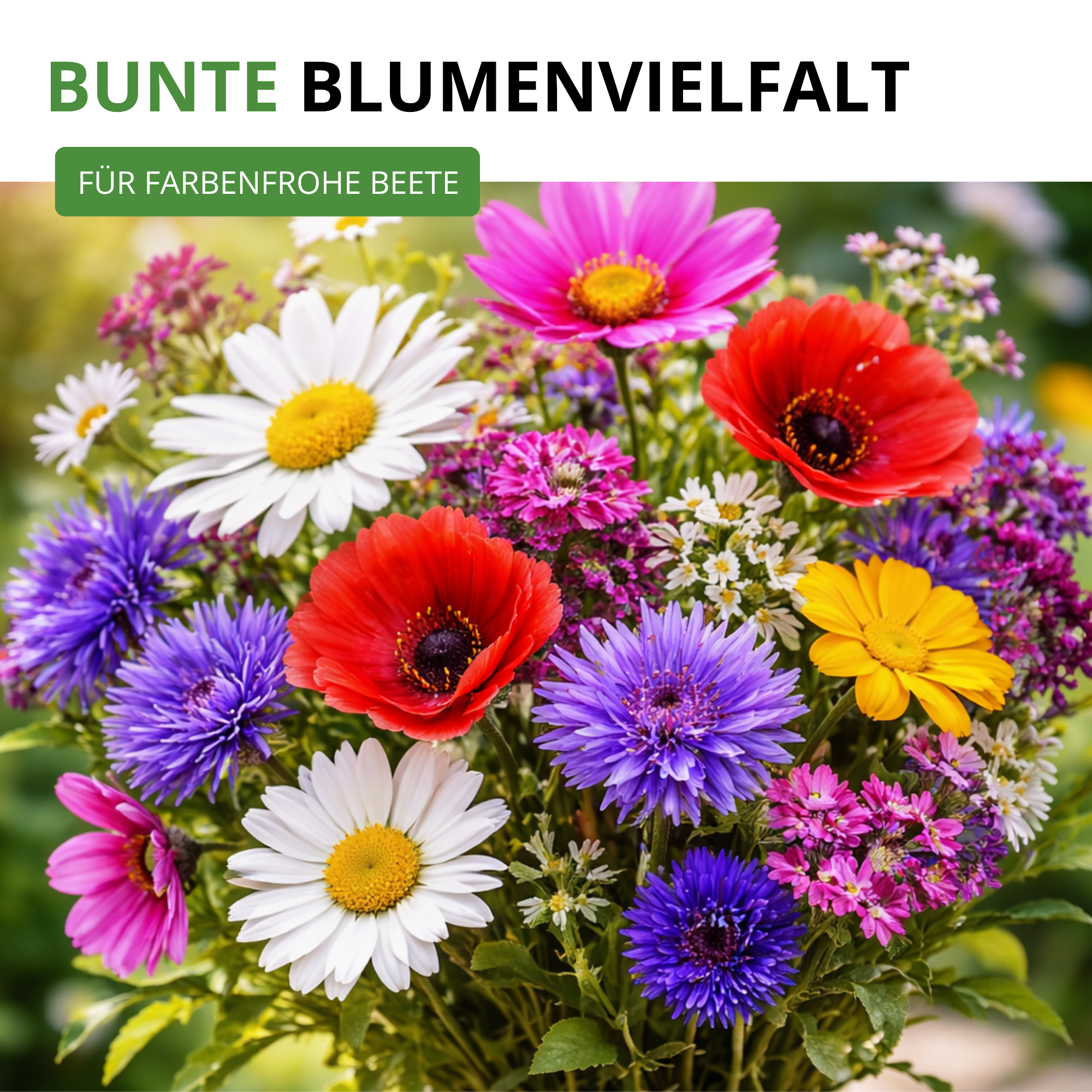 Blumensamen-Set mit 10 Sorten