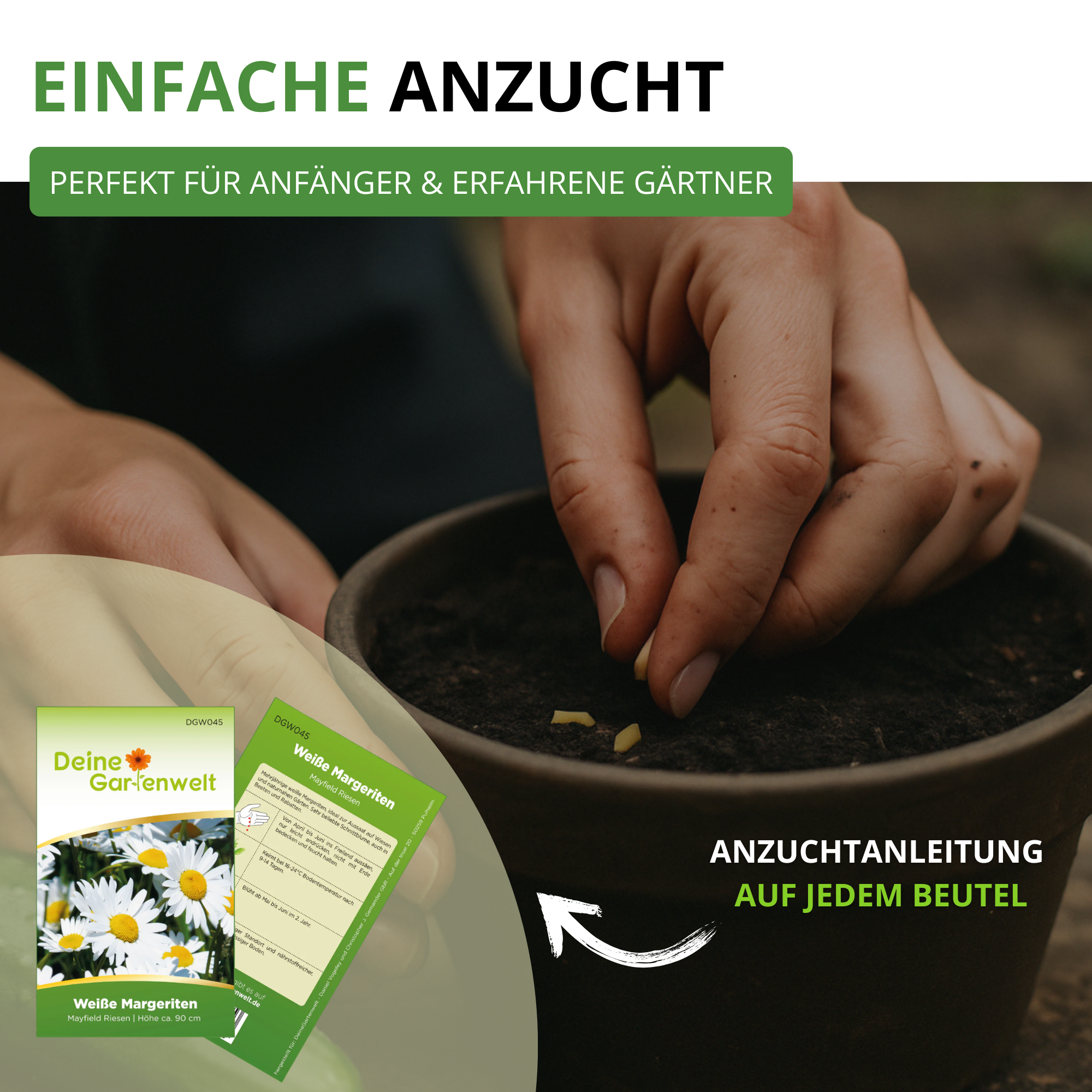 Blumensamen-Set mit 10 Sorten
