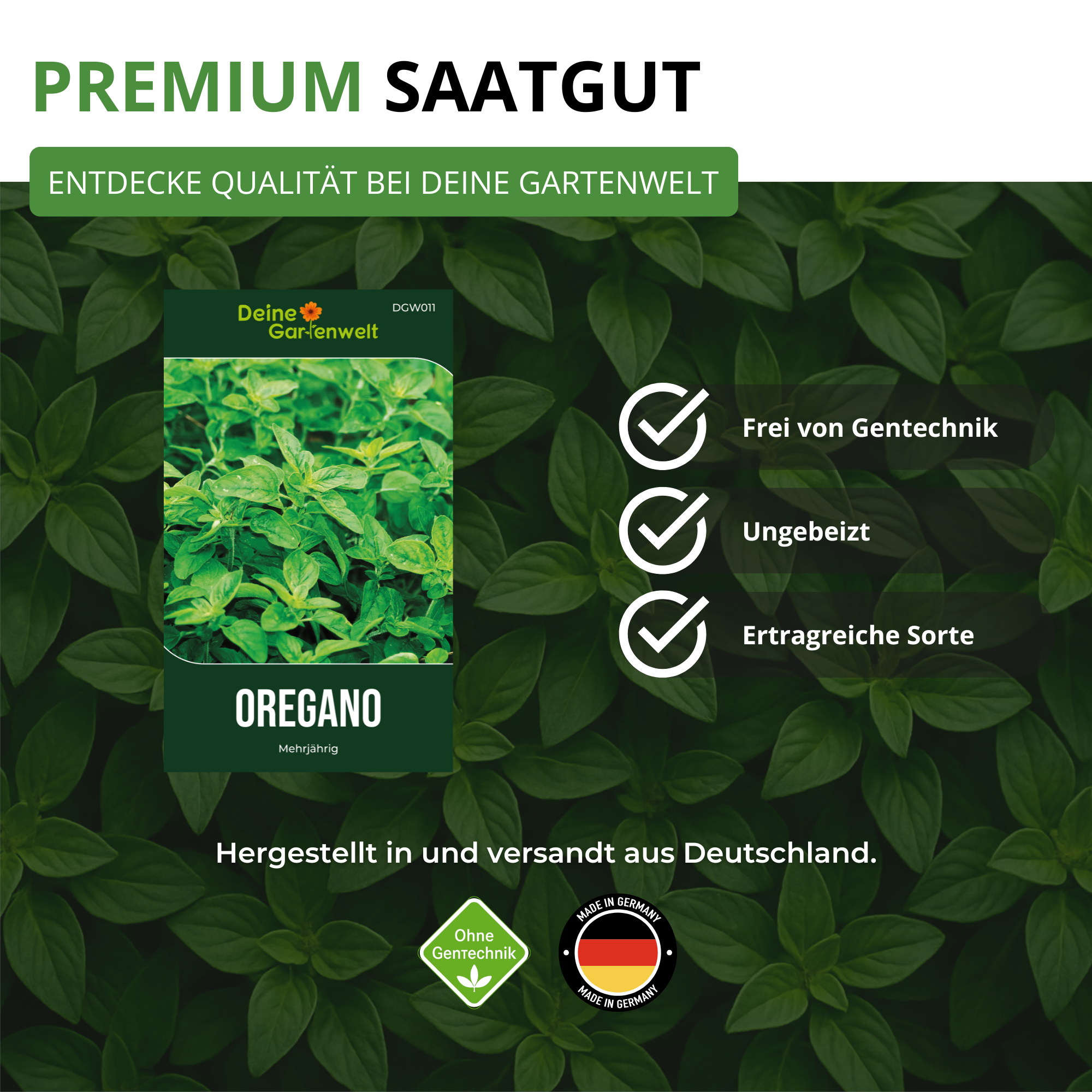 Oregano