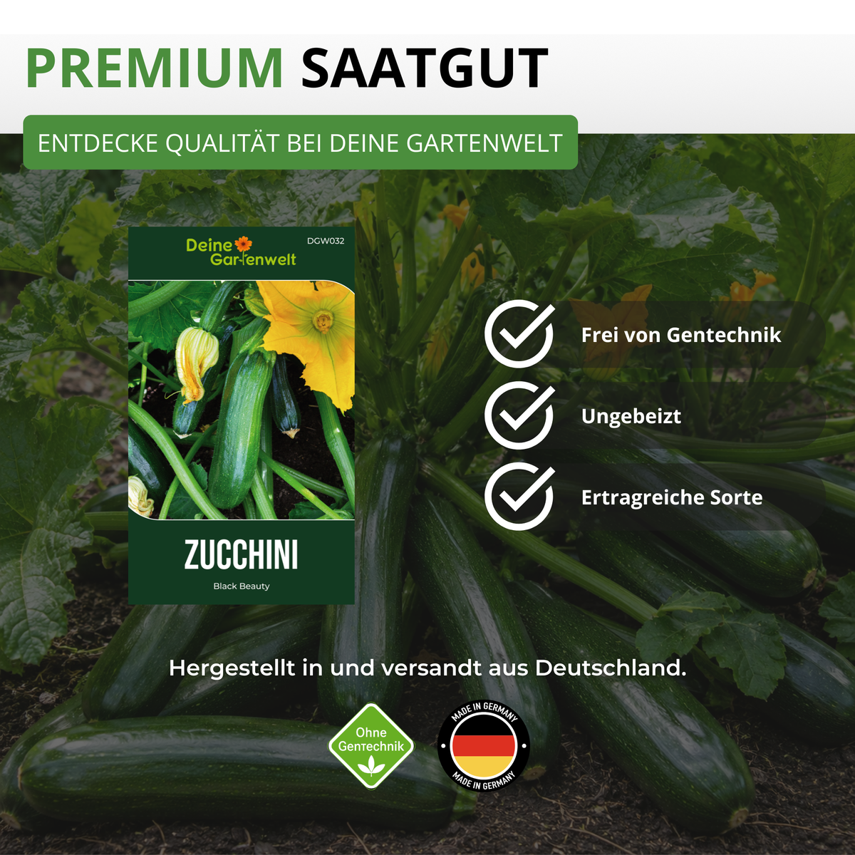 Zucchini Black Beauty Saatgut