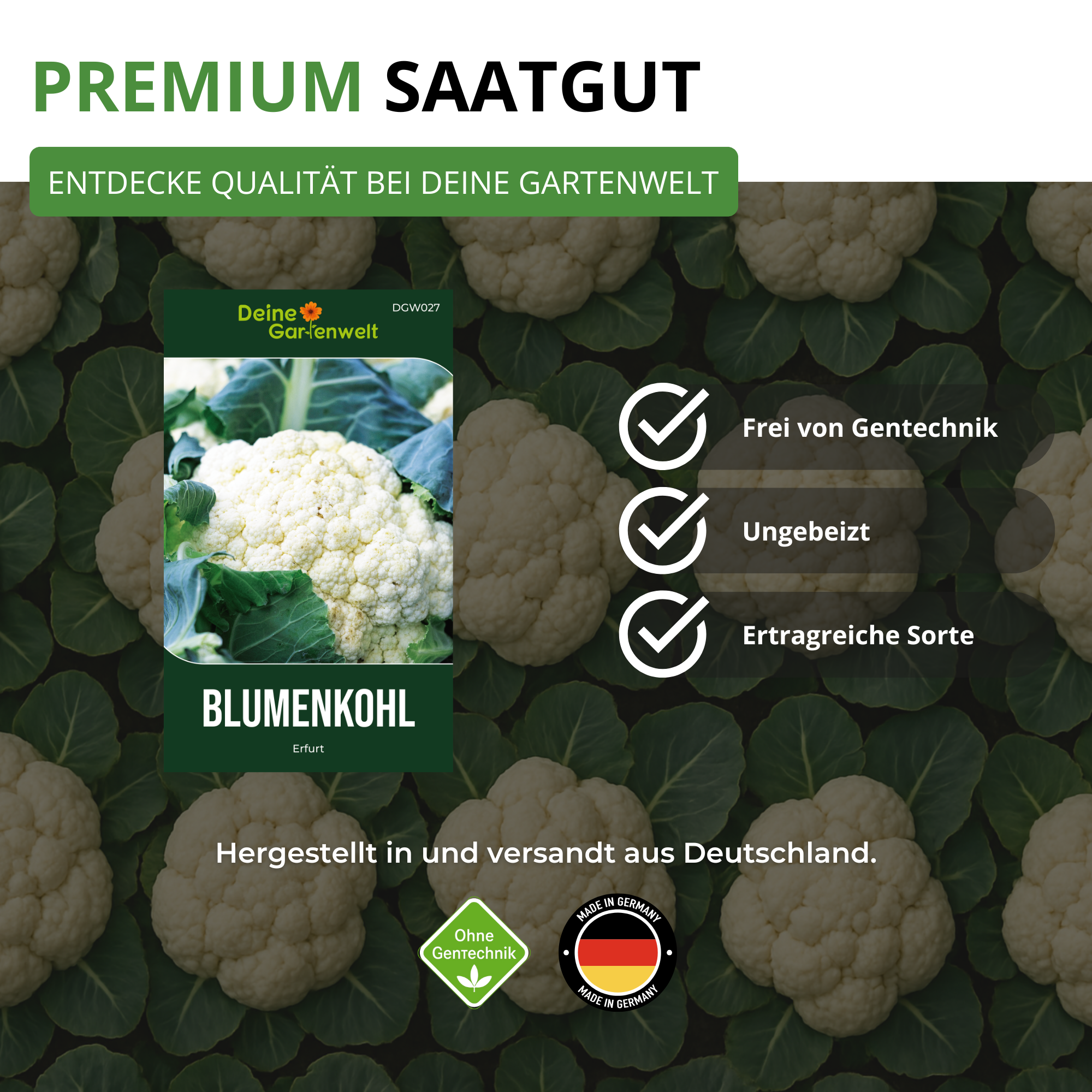 Blumenkohl Erfurt