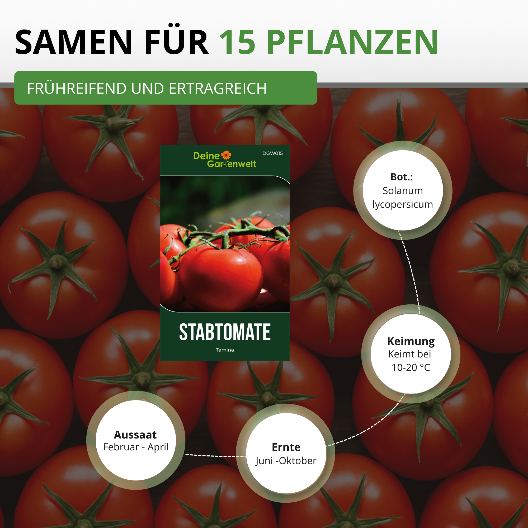 Stabtomaten Tamina