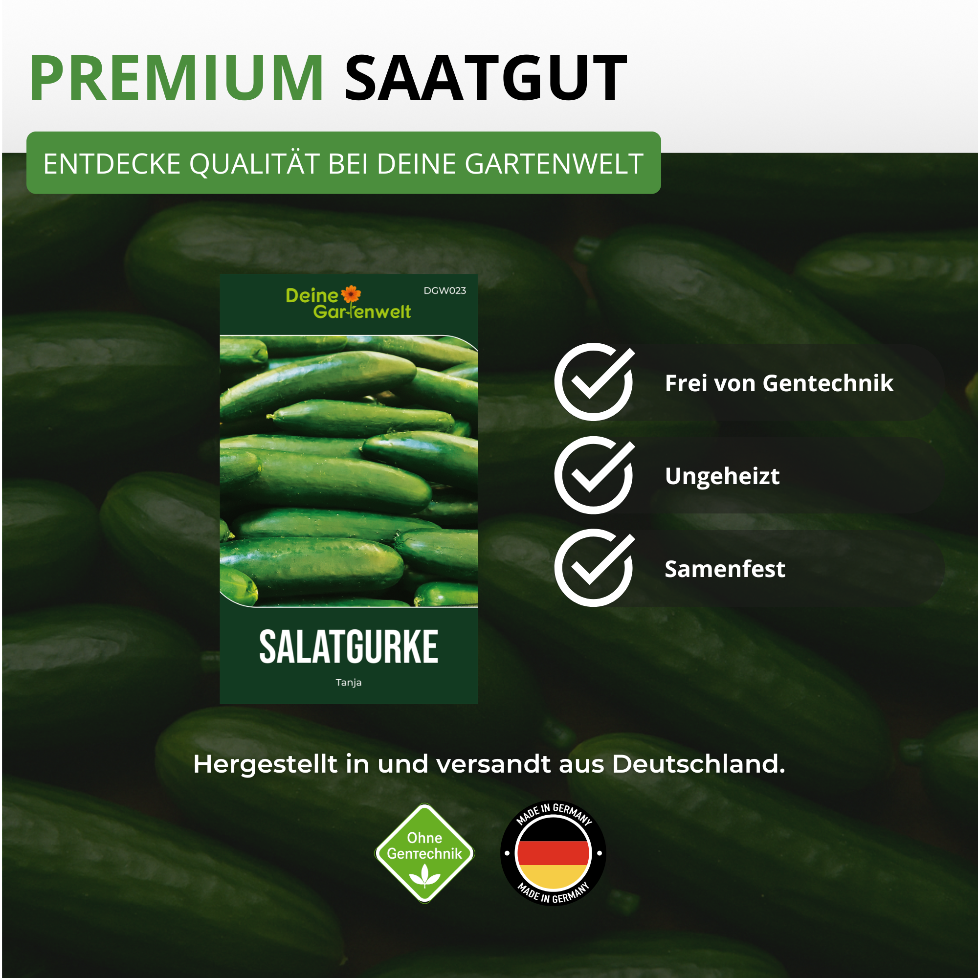 Salatgurke Tanja
