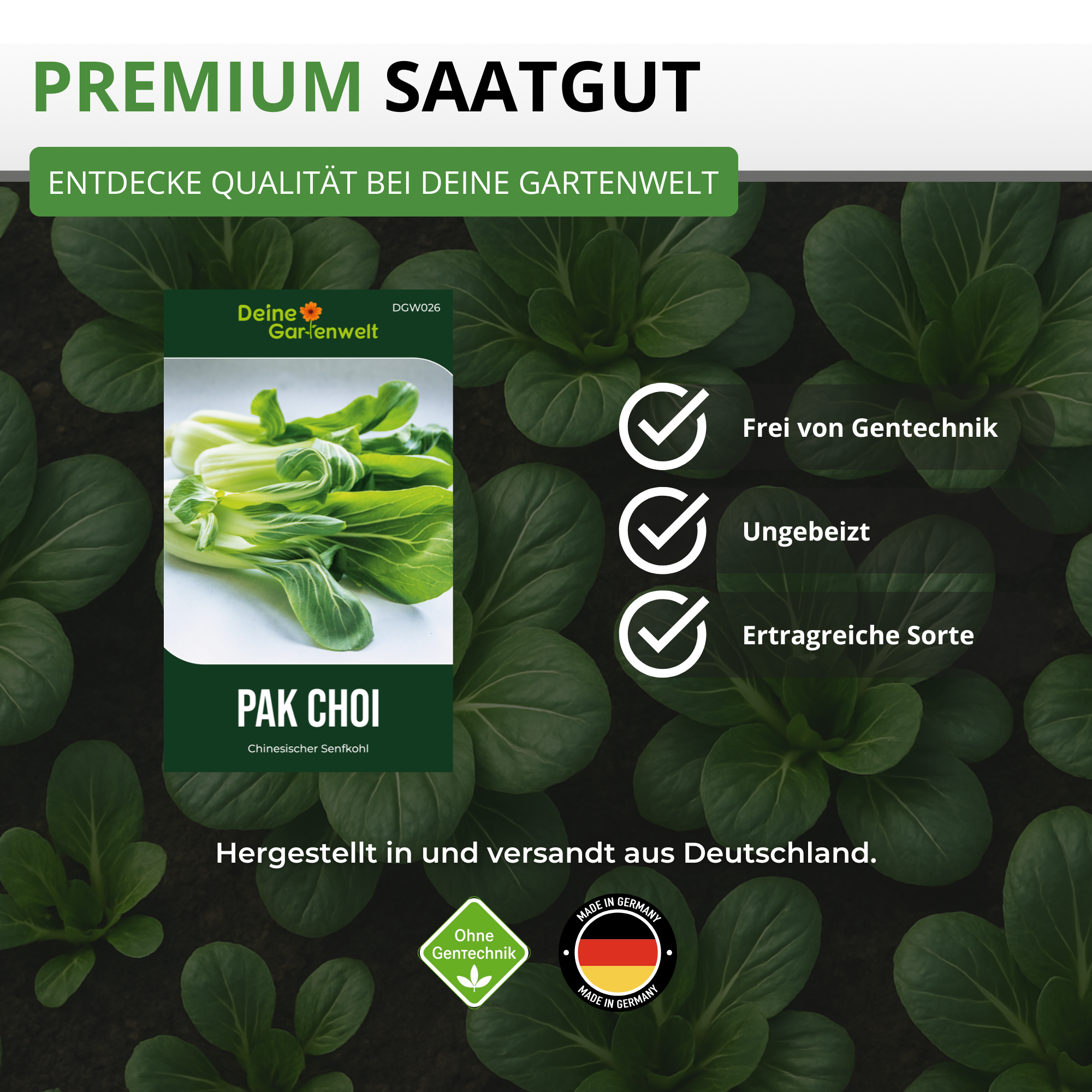 Pak Choi