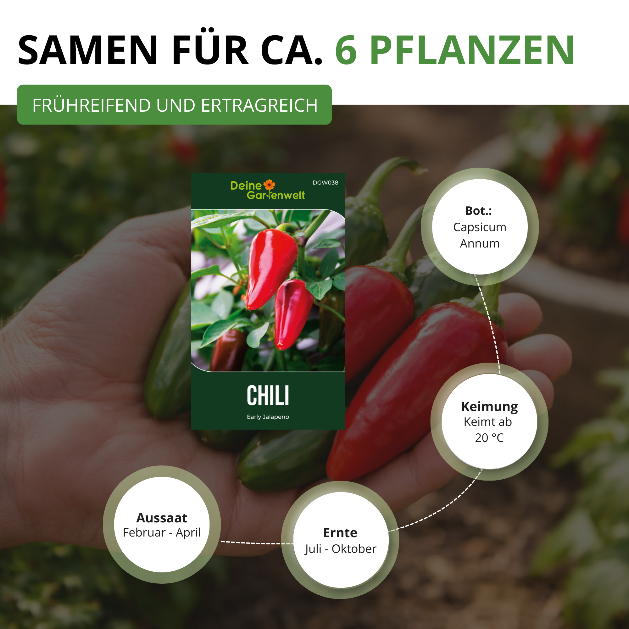 Chili Jalapeno