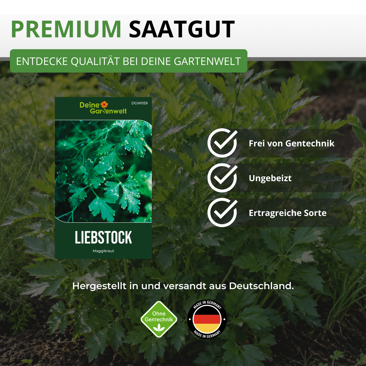 Liebstöckel Maggikraut Saatgut