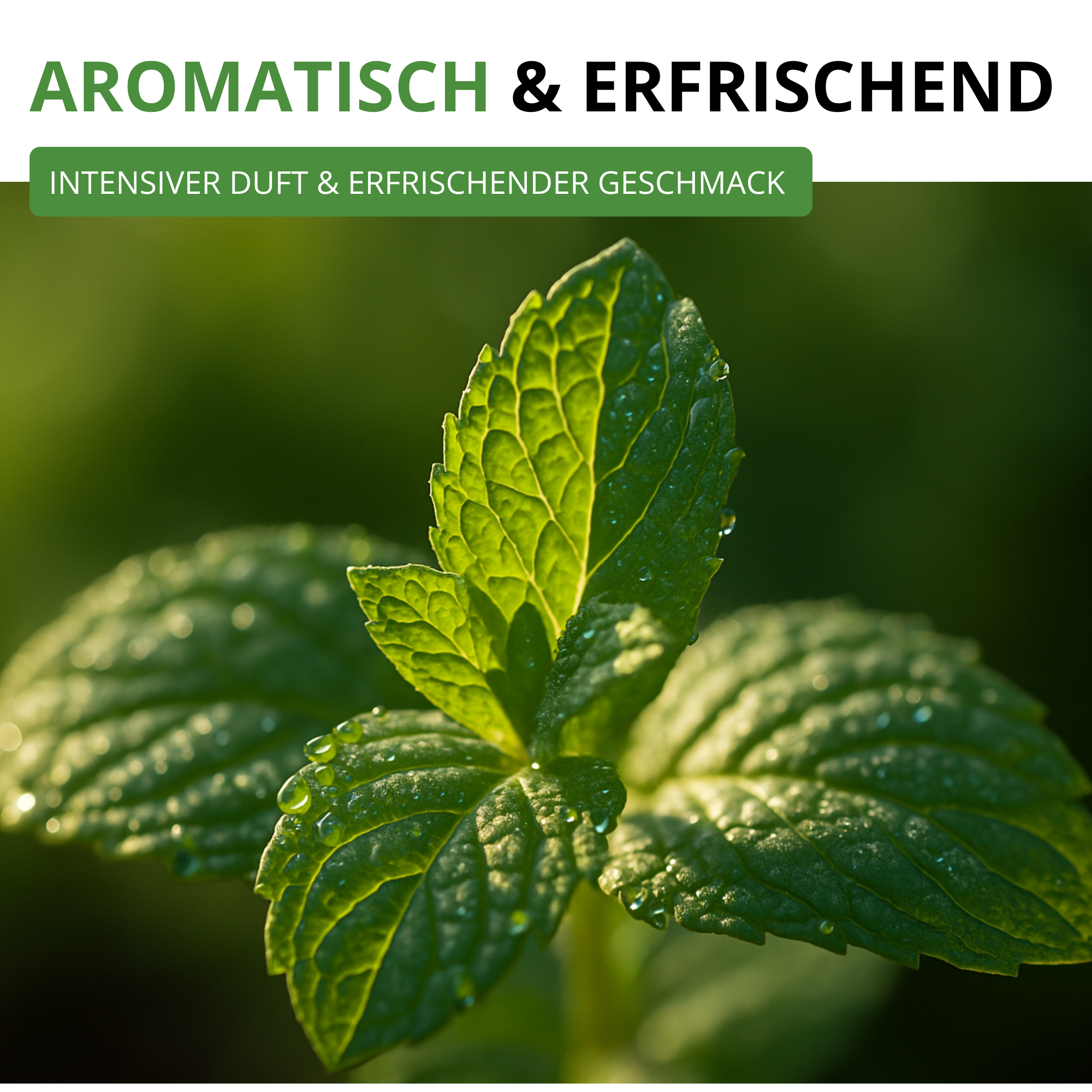 Pfefferminze