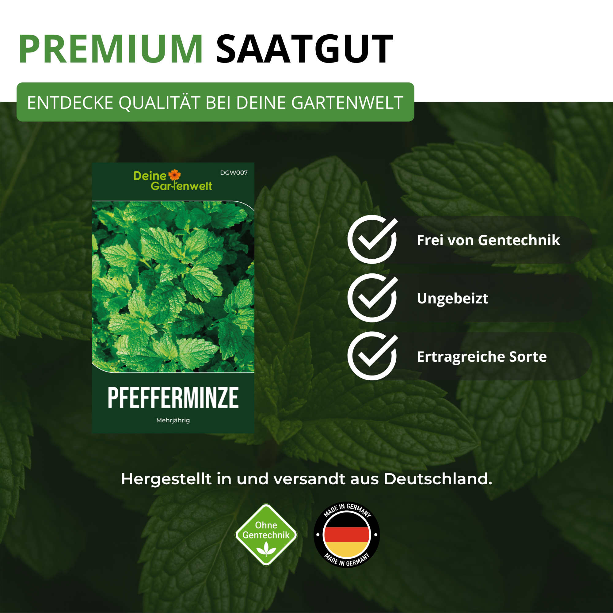 Pfefferminze