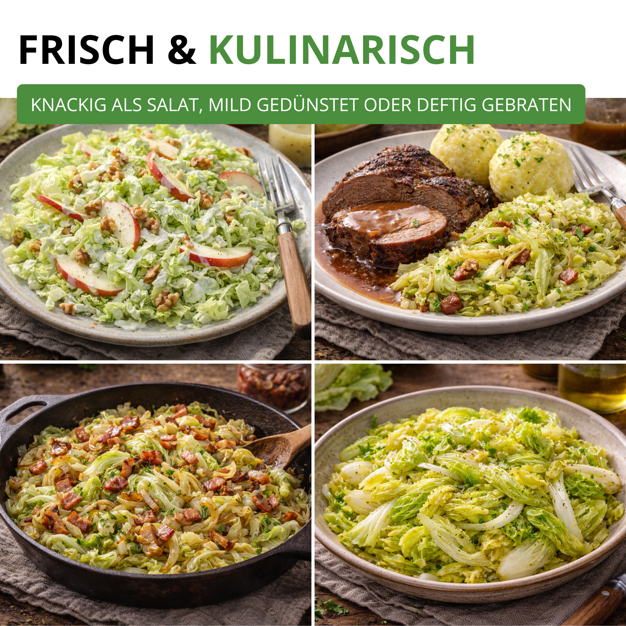 Zichoriensalat Zuckerhut