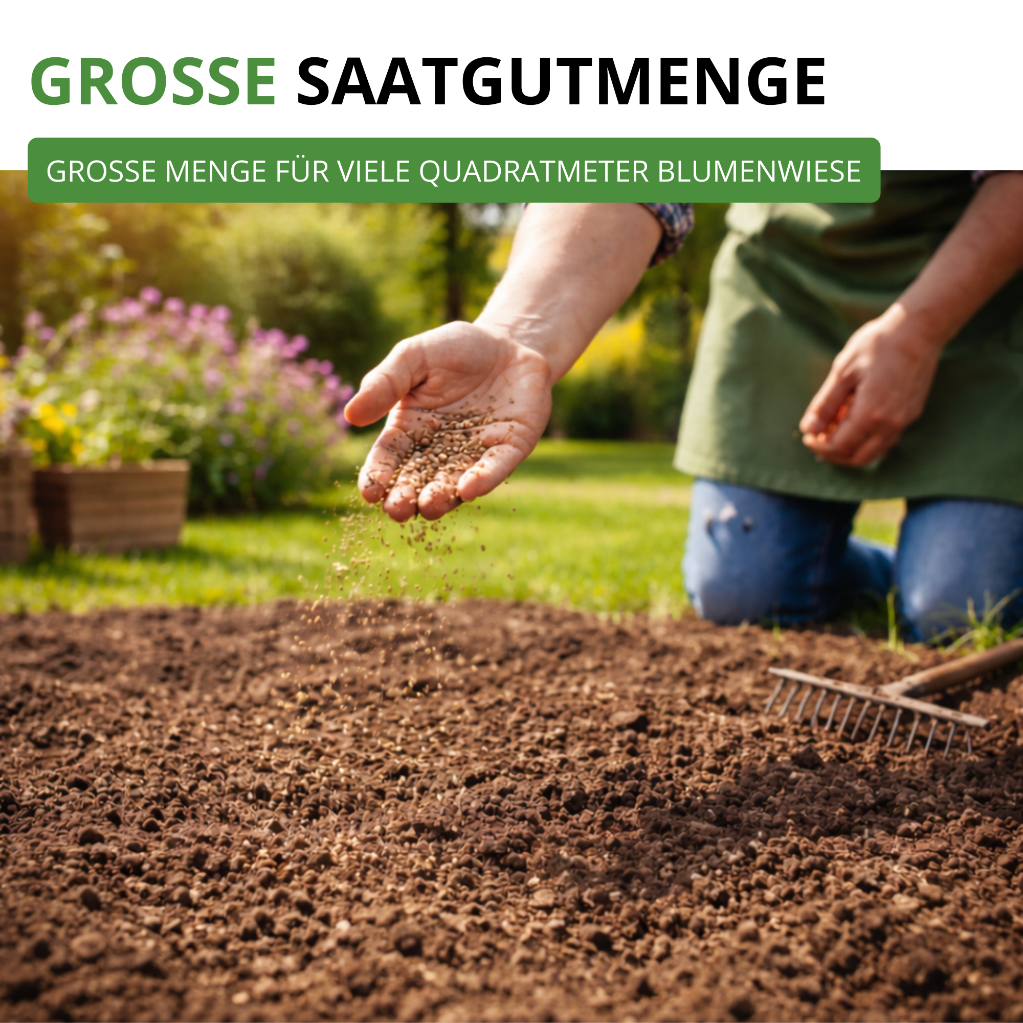 Sommerblumenwiese Blumenmischung 100 g
