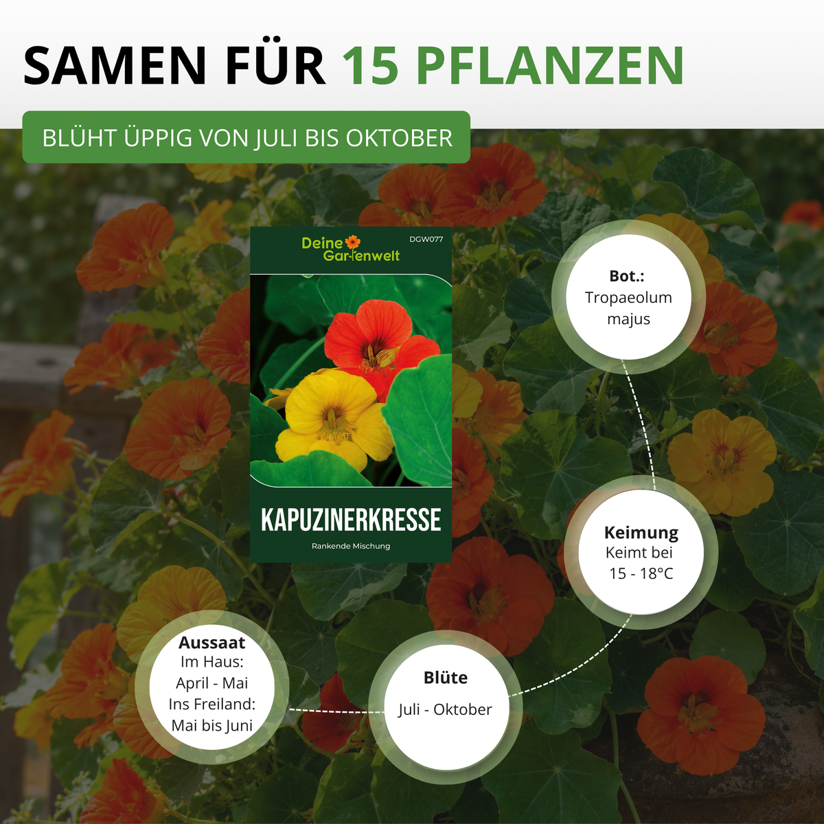 Kapuzinerkresse Rankende Mischung Saatgut