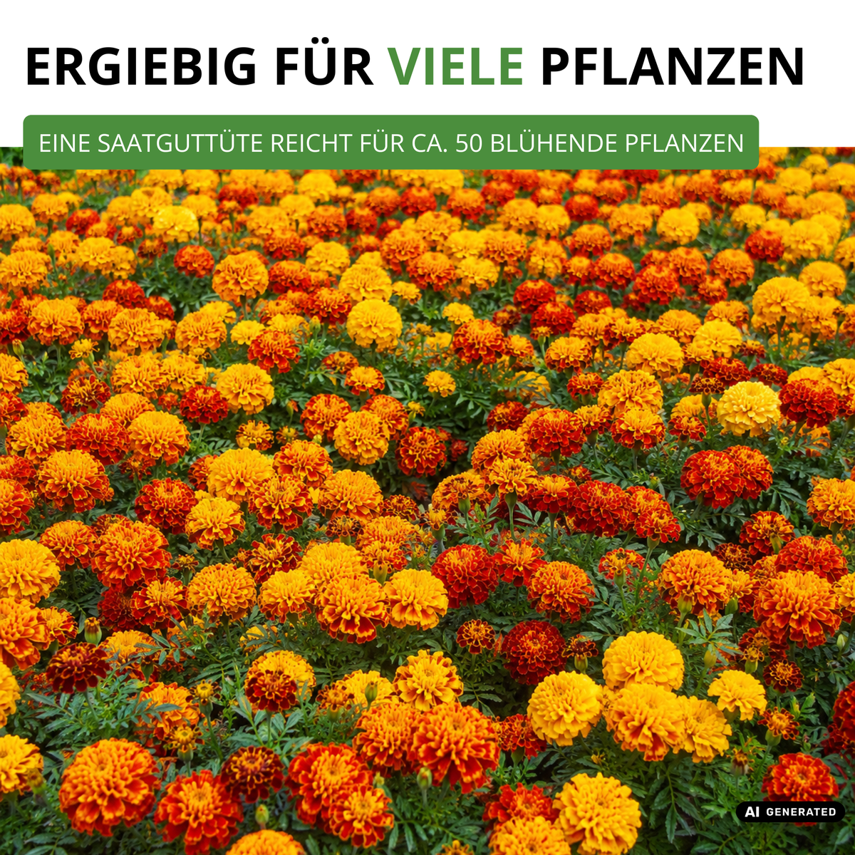 Studentenblume Tagetes Bonita Mischung Saatgut