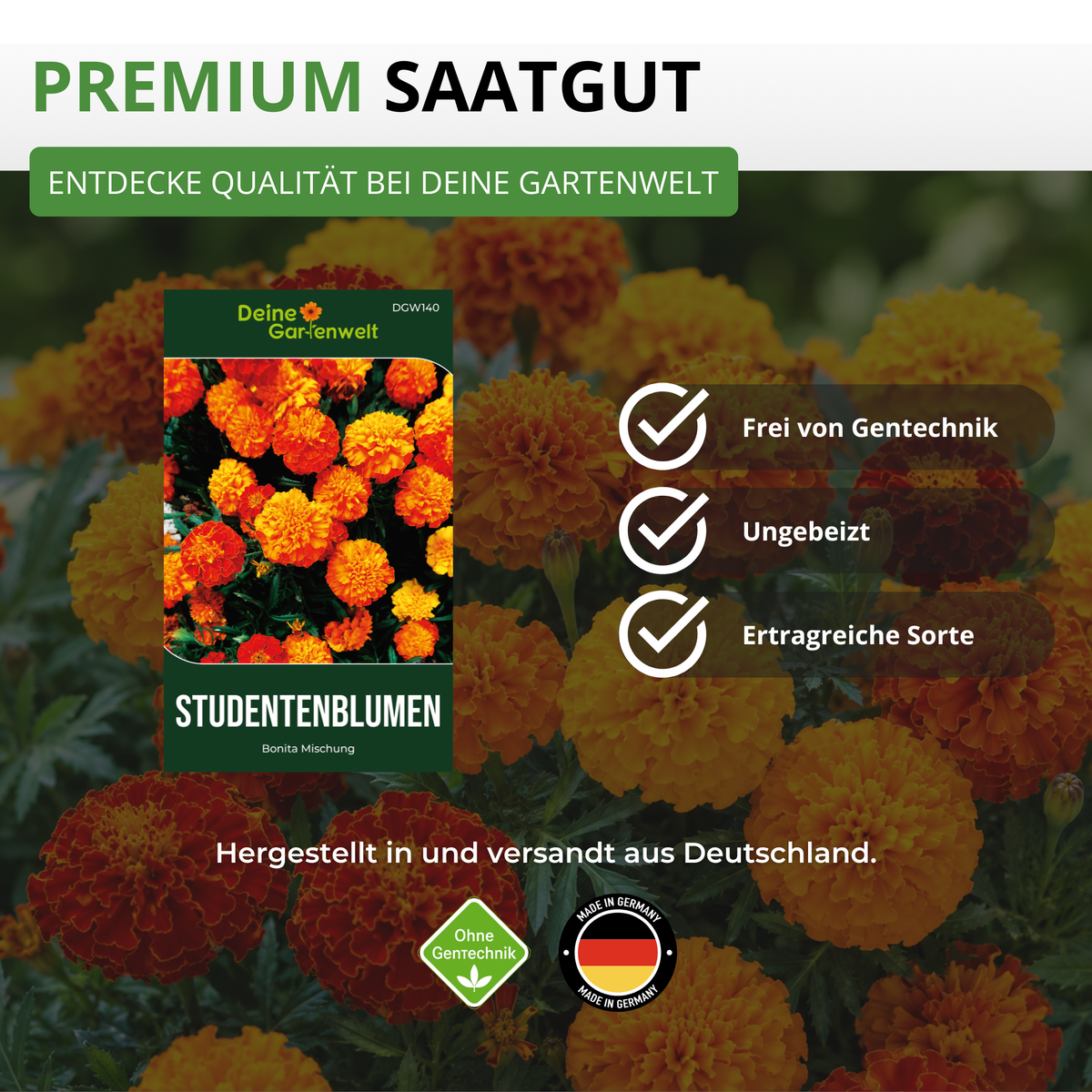 Studentenblume Tagetes Bonita Mischung Saatgut