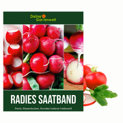 Radieschen 3 Sorten Saatband 5 m