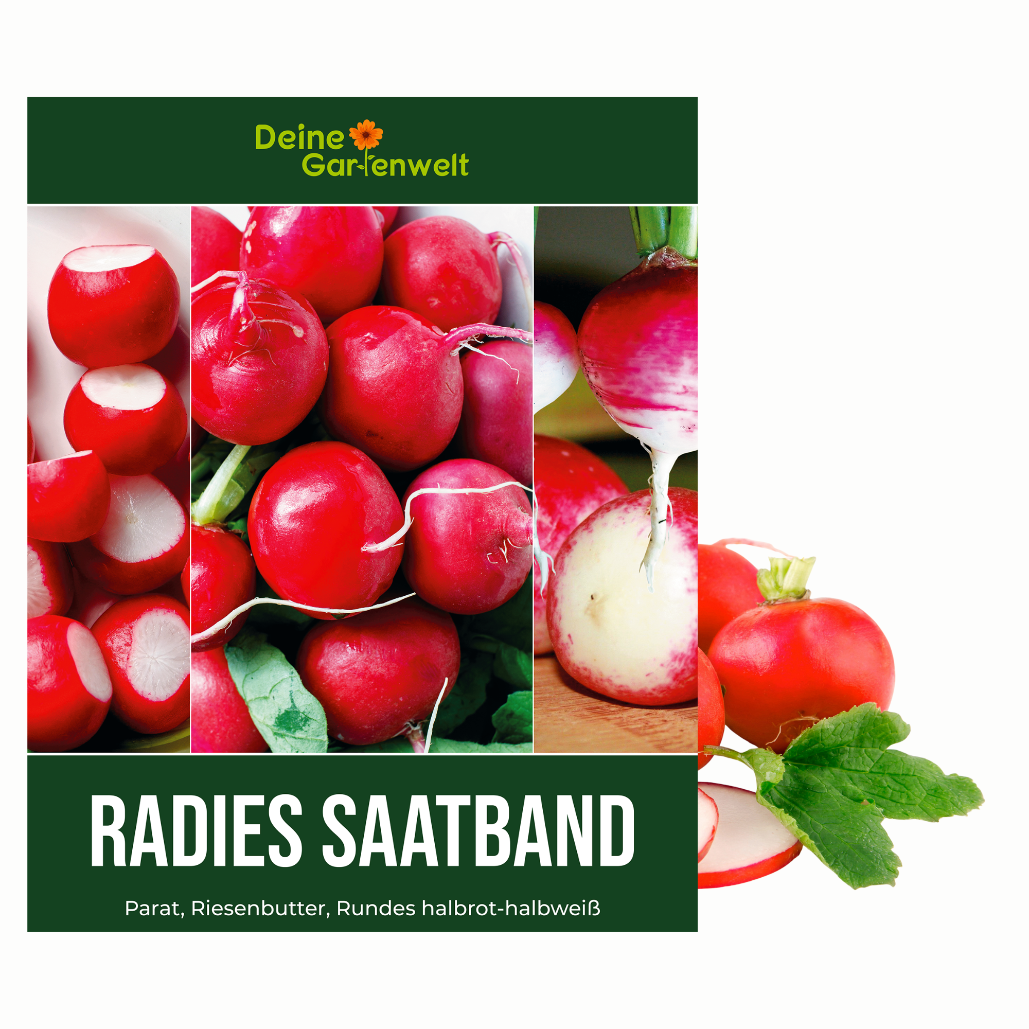 Radieschen 3 Sorten Saatband 5 m