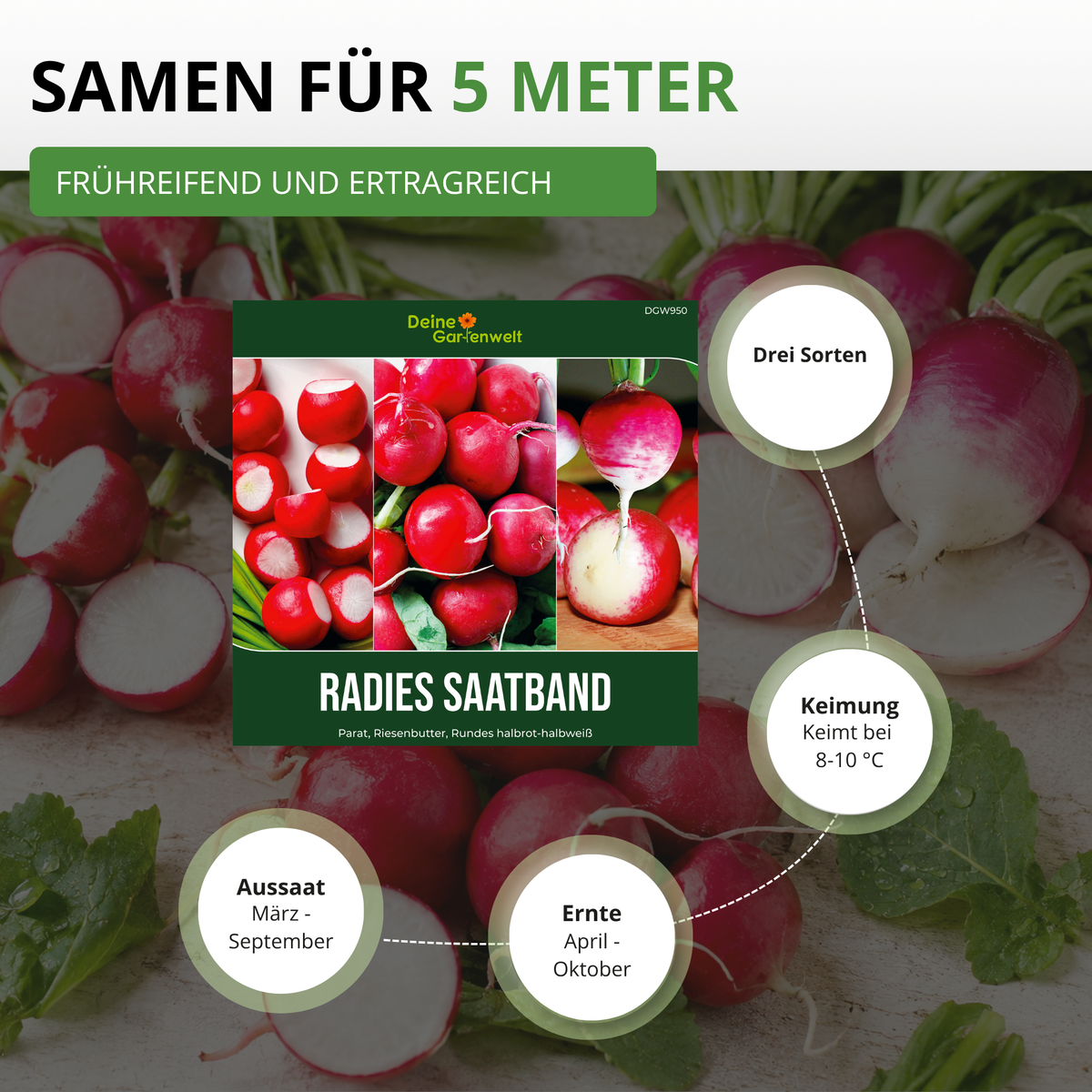 Radieschen 3 Sorten Saatband 5 m